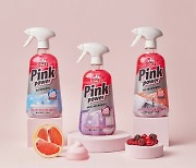 LG생활건강, 홈스타 '핑크파워 세정제 3종' 출시...핑크구연산폼으로 차별적 고객경험 제공