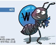 "하락은 줍줍 기회"… 펀드로 몰린 개미들