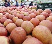 1분기 과일·채소가격… 한국, 세계서 가장 많이 뛰었다