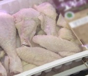 정부, 연말까지 닭고기 납품단가 지원…물가 부담 완화