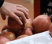 “우리나라서 유난히 더 비싸진 과일”···한국, 과일·채소 물가상승률 1위, 왜?