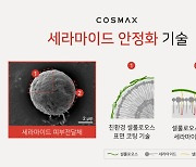 코스맥스, 셀룰로오스 코팅 기술 개발···“세라마이드 화장품 결정화 개선”