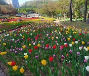 [의정부24시] 의정부시, 계절별 꽃길 조성으로 '정원 도시' 거듭난다