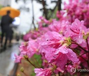 전국 흐리고 곳곳 비…낮 최고 16∼25도