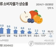 [그래픽] 주요국 과일류 소비자물가 상승률