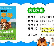 '제1회 제주마 문화 축제' 27일 개막…잣성 트래킹 등 다양