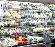 '한국 채소ㆍ과일 가격 크게 올랐다'