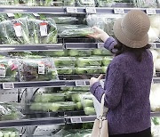 '한국 채소ㆍ과일 가격 크게 올랐다'