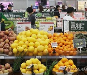 '한국 과일ㆍ채소 가격 크게 올랐다'
