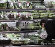 '한국 과일ㆍ채소값 크게 올랐다'