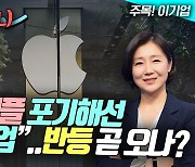 월가 “애플, 포기해선 안 될 기업”…곧 반등 나오나(영상)