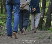합천 오도산치유의숲, '24-25년 우수 웰니스관광지'로 재지정