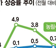 배추 36%·양파 19%·김 20%↑... 3월 생산자물가 4개월째 상승