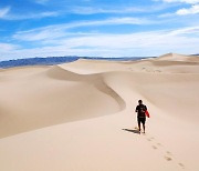 [이런 여행] 요즘 뜨는 몽골... 나랑 '사막 위' 별 보러 가지 않을래?
