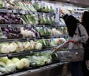 우리나라 먹거리 물가 상승률, OECD 국가 중 3위… '이 식품' 때문