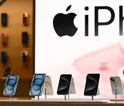 中 시장서 고전하는 애플, 아이폰 판매량 작년보다 19% 줄었다