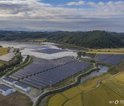 영농형 태양광 사용허가 8년→23년…농업+발전으로 탄소중립을