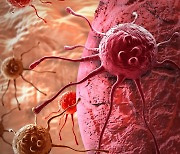 ‘이 유전자’ 활성도 낮추면 ‘항암제 내성’ 줄어든다