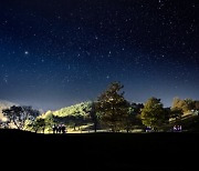 은은한 별빛 속 특별한 산책…오크밸리, ‘나이트 워크’ 개최