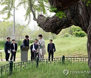 '천연기념물' 임난수 은행나무 살피는 김형렬 행복청장