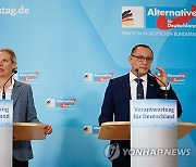 GERMANY PARTIES AFD