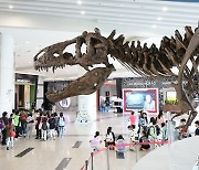 '8.8톤' 세계 최대 티라노사우루스 화석, 8월까지 특별전