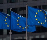 “인권·환경 의무” 유럽의회 ‘공급망실사지침’ 가결… 韓 기업도 영향