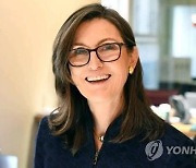 `돈나무 언니` 캐시우드, 액티브 ETF서 올해 3조원 순유출