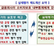 "내부통제기준 마련보다 '운영'에 방점"...금감원 '실태평가 제도' 강화