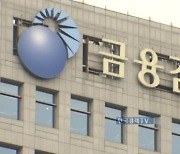 금감원, 5월 농협금융·은행 정기검사…"내부통제 취약"