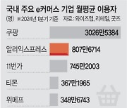 [단독]알리, 韓법인 334억 증자… ‘2차 물량 대공습’ 신호탄