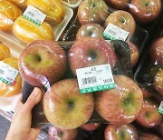 ‘4개 1만6000원’ 사과값에 깜짝…냉동과일 샀다면 이것 확인해야 [식탐]