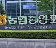 금감원, 다음달 농협금융·은행 정기 검사…지배구조 점검