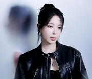 “보아 은퇴 막아달라” 선플달기 캠페인에 ‘민병철 선생님’ 나섰다