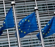 EU, 유럽 현지 中기업 '급습' 조사…EU-中 반보조금 갈등 본격화