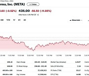 메타 실적 예상 상회했으나 전망에 실망, 시간외서 12%↓(상보)