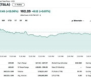 테슬라 저가 차 출시 앞당겨, 정규장서도 12% 폭등(상보)