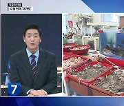 [집중인터뷰] 화재 석 달 만에 손님맞이…“서천특화시장 살리자”