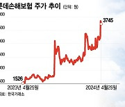 '최대 3조' 롯데손보 매각 본격화…M&A 큰손들 주목하는 이유