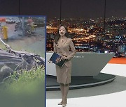[포인트뉴스] 11개월 손녀 태우고 1.3km '논스톱' 질주한 60대 할머니…"급발진" 外