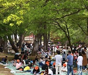 영월 대표 역사문화 행사 '제57회 단종문화제' 개막