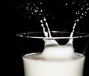 FDA "샘플 우유 5개 중 1개, 조류독감 바이러스 양성"