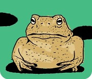 [도청도설] 온천천 두꺼비