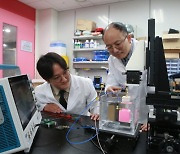 Korean researchers develop piezoelectric element-based technology