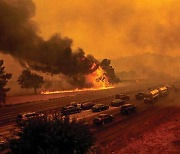 [환경-자연 영화] 초대형 산불의 80%, 최근 10년간 발생했다