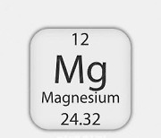 [금속이야기]식물 광합성에 없어서는 안되는 '마그네슘'
