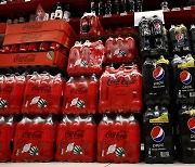 코카콜라·펩시 등 4개 기업, 플라스틱 쓰레기 가장 많이 배출해[통신One]