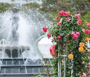 [포토]2024고양국제꽃박람회 야외정원 ‘장미원’