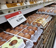 “계란 값마저 오르면 큰일” 농식품부, 계란 가격 상승 진화 나선다
