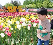 [포토]화려한 봄꽃에 반한 어린이